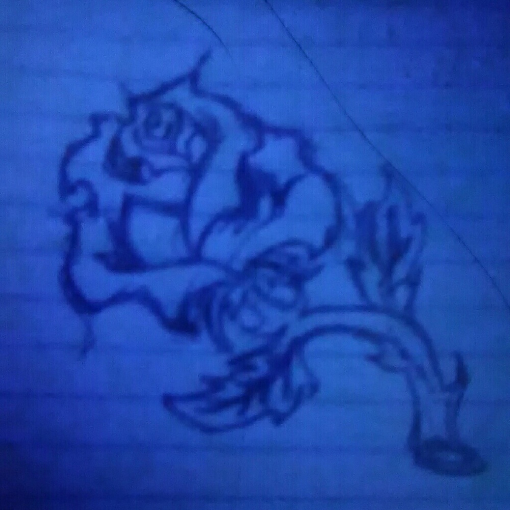 Meet your Posher, Rain